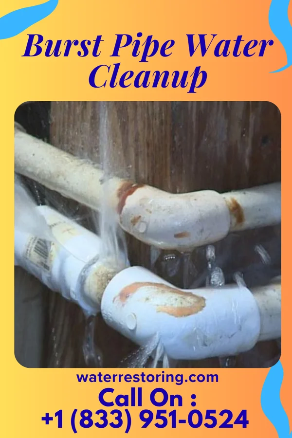 Burst Pipe Water Cleanup in Pearisburg, VA
