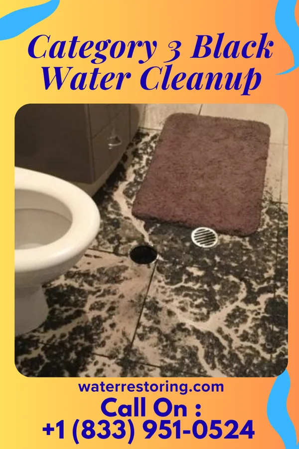 Category 3 Black Water Cleanup in Pearisburg, VA