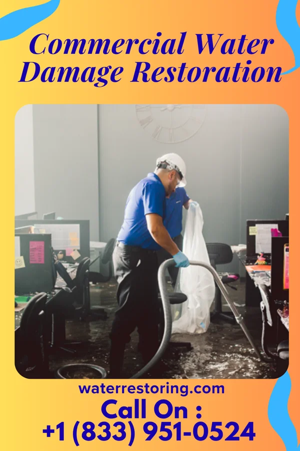 Commercial Water Damage Restoration in Pearisburg, VA