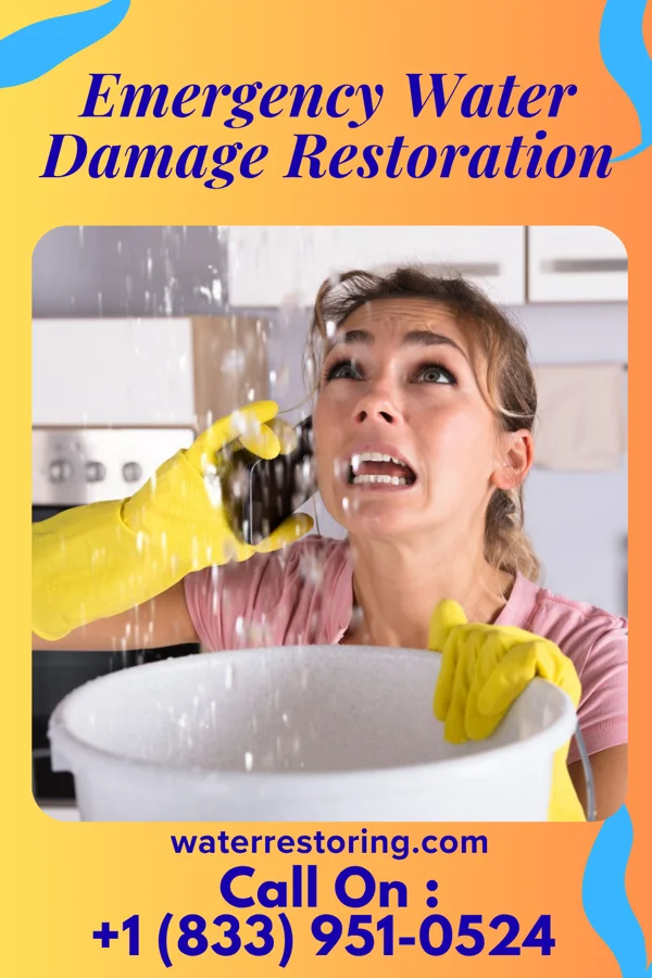 Emergency Water Damage Restoration in Pearisburg, VA