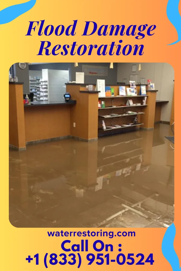 Flood Damage Restoration in Pearisburg, VA