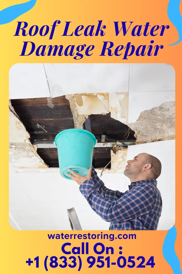 Roof Leak Water Damage Repair in Pearisburg, VA