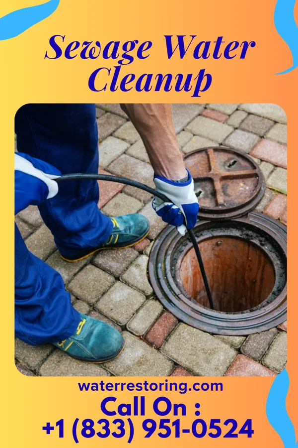 Sewage Water Cleanup in Pearisburg, VA