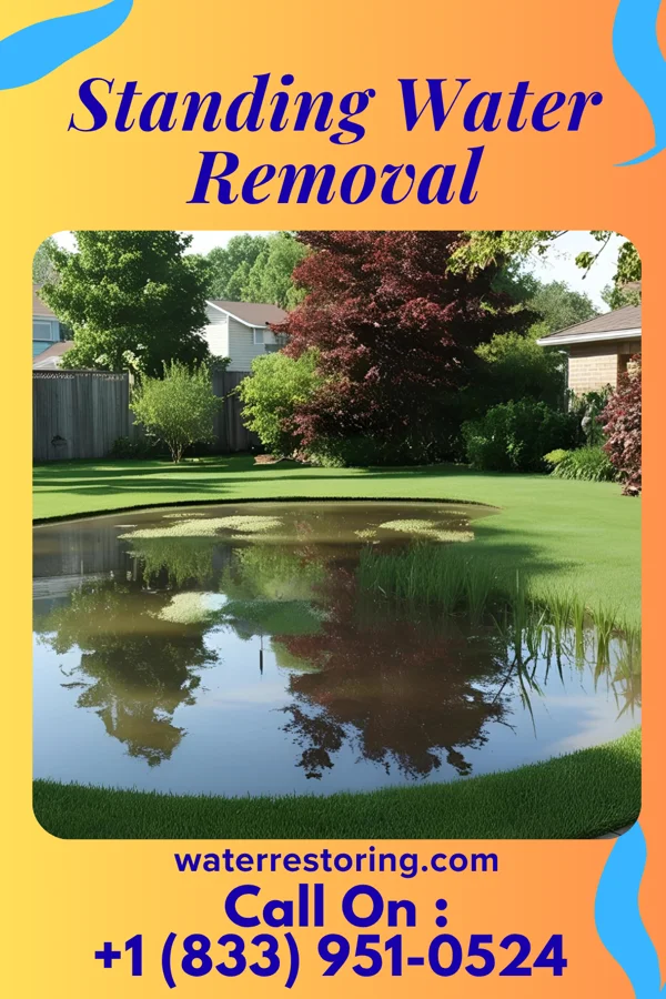 Standing Water Removal in Pearisburg, VA